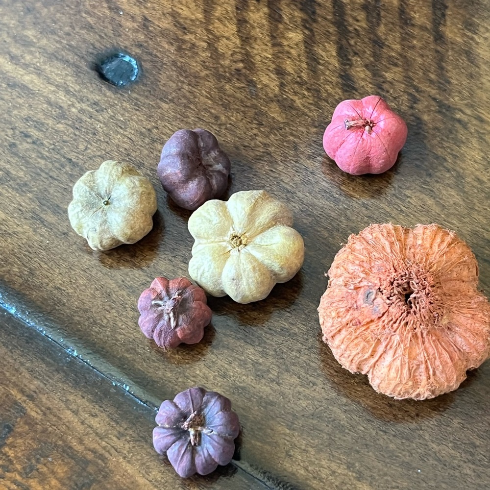 Fall Holiday Bundle - Picture 8 of 11